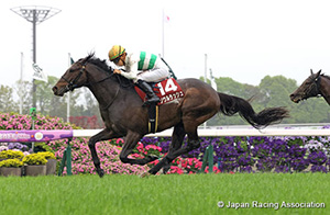 Yomiuri Milers Cup (G2)