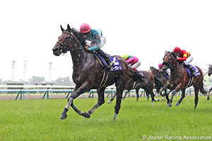 Takarazuka Kinen (G1)