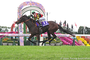 Queen Elizabeth II Cup (G1)