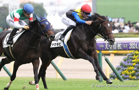 2024.12.24 Hopeful Stakes (G1) - Preview - News - Horse