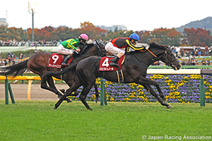 Tokyo Sports Hai Nisai Stakes (G2)