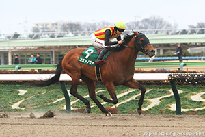 Negishi Stakes (G3)