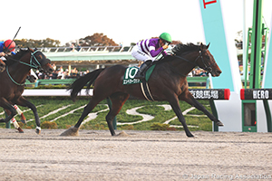 Tokyo Chunichi Sports Hai Musashino Stakes (G3)