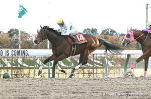 Tokai TV Hai Tokai Stakes (G2)