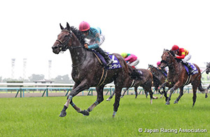 Takarazuka Kinen (G1)