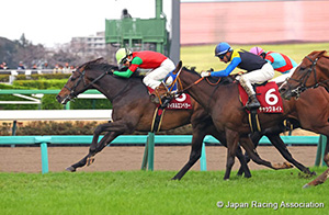 Nikkei Sho (G2)