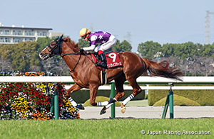 Hanshin Daishoten (G2)