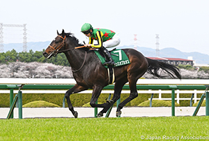 Churchill Downs Cup(NHK Mile Cup Trial) (G3)