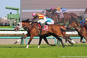 New Zealand Trophy (NHK Mile Cup Trial) (G2)