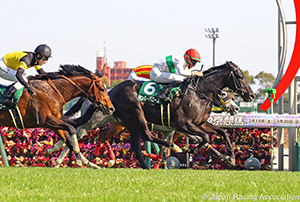 Chunichi Sports Sho Falcon Stakes (G3)