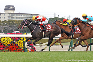 Hochi Hai Fillies' Revue (Japanese 1000 Guineas Trial) (G2)