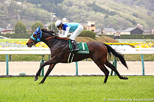 Fukushima Himba Stakes (G3)