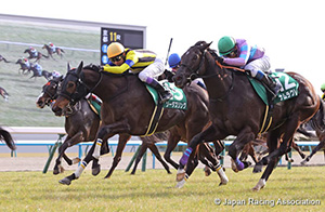 Kyoto Himba Stakes (G3)
