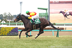 Fairy Stakes (G3)