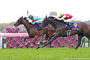 Oka Sho (Japanese 1000 Guineas) (G1)