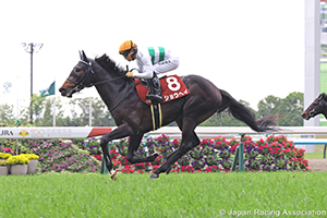 Kyoto Shimbun Hai (G2)