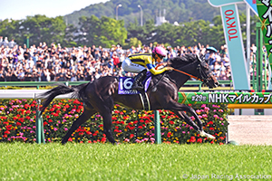 NHK Mile Cup (G1)