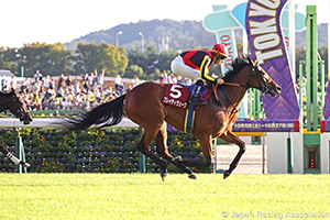 Ireland Trophy Fuchu Himba Stakes (G2)