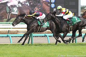 Lord Derby Challenge Trophy (G3)