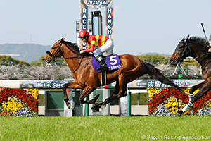 Osaka Hai (G1)