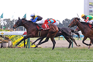 Kyoto Kinen (G2)