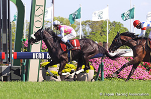 Kyoto Shimbun Hai (G2)