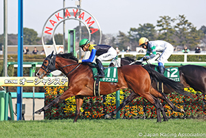 Ocean Stakes (G3)