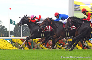 MBS Sho Swan Stakes (G2)