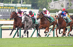 Hakodate Sprint Stakes (G3)
