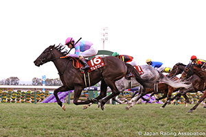 Hanshin Cup (G2)
