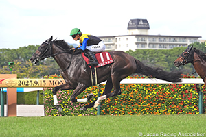 Kansai Television Co. Ltd. Sho Rose Stakes (Shuka Sho Trial) (G2)