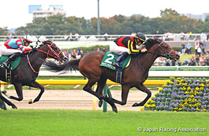 Artemis Stakes (G3)