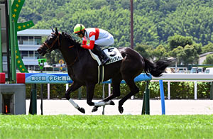 Danon Fair Lady