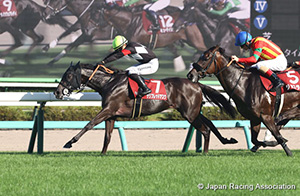 Shion Stakes (Shuka Sho Trial) (G2)