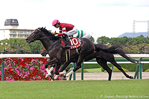 Kobe Shimbun Hai (Japanese St. Leger Trial) (G2)