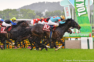 TV Tokyo Hai Aoba Sho (Japanese Derby Trial) (G2)