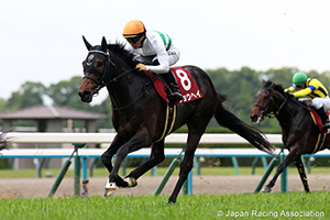 Shohei