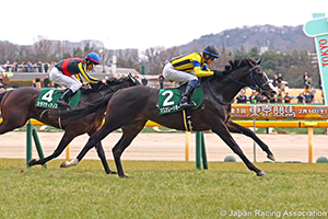 Kyodo News Hai (Tokinominoru Kinen) (G3)