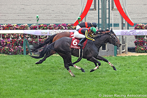 Tokai TV Hai Kinko Sho (G2)