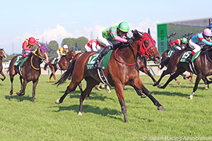 Niigata Kinen (G3)