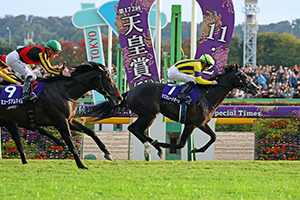 Tenno Sho (Autumn) (G1)