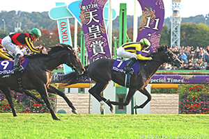 Tenno Sho (Autumn) (G1)