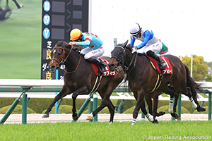 Sankeisports Hai Hanshin Himba Stakes (G2)