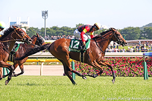 Fuchu Himba Stakes (G3)