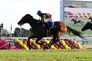 Queen Elizabeth II Cup (G1)