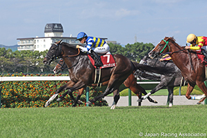 Sankei Sho Centaur Stakes (G2)