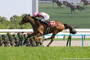 Yomiuri Milers Cup (G2)