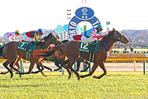 Tokyo Shimbun Hai (G3)
