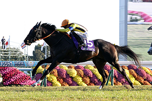 Mile Championship (G1)