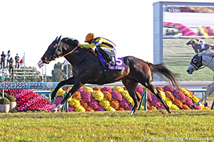 Mile Championship (G1)